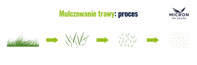 mulczowanie trawnika